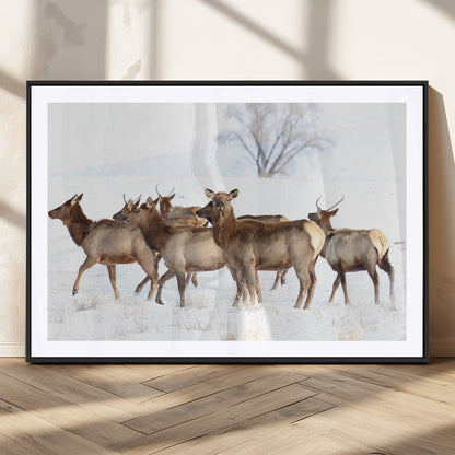 A group of elk standing on snowy terrain with a tree in the background, perfect for rustic or lodge-style winter wall decor.