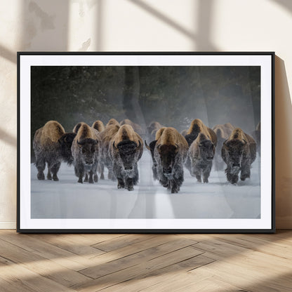 A herd of American bisons walking through deep snow in a forest, evoking a powerful rustic wilderness mood for western-style interiors.