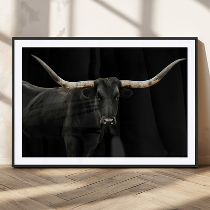 Close-up of a black Texas longhorn with large curved horns on black background, ideal for rustic farmhouse or modern western interiors.