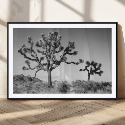 Black and white Joshua trees in a rugged desert landscape, creating a calm and minimalist feel for natural or rustic-themed interiors.