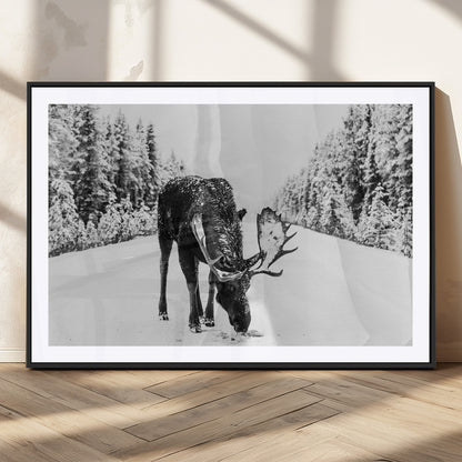 A majestic moose grazing in the snow-covered wilderness, surrounded by snow-covered trees, creating a peaceful winter scene.