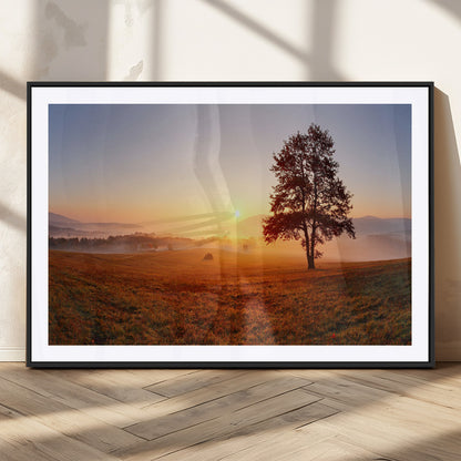 A tranquil landscape at sunrise with a mist-covered field and a lone tree, creating a peaceful and natural atmosphere.