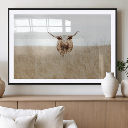 Texas Longhorn bull standing alone in dry grass with neutral tones, ideal for rustic western or cowboy-themed wall decor.
