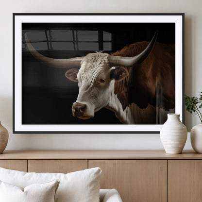 "Close-up of a brown and white longhorn cow with prominent curved horns against a black background."