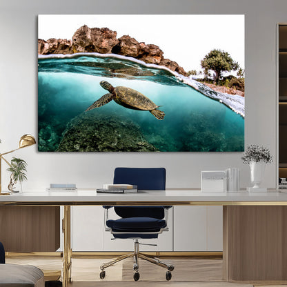 Dynamic split-view photo of a sea turtle swimming near rocky shores, perfect for vibrant coastal or tropical beach home decor.