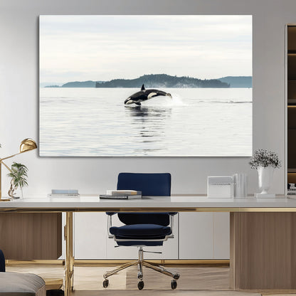 An orca jumping out of calm ocean waters with a misty island in the background, creating a serene and minimalist marine wildlife scene.