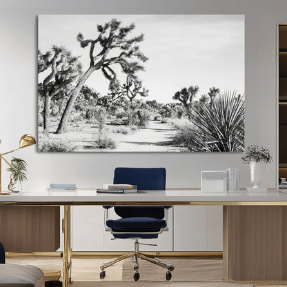Canvas of a Joshua Tree forest in black and white tones, featuring a desert path and spiky vegetation, ideal for minimalist or rustic decor.