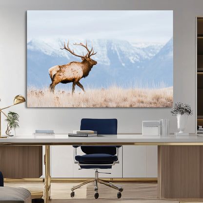 An elk walking on snowy grassland with majestic mountains in the background, ideal for rustic lodge or cabin wall decor.