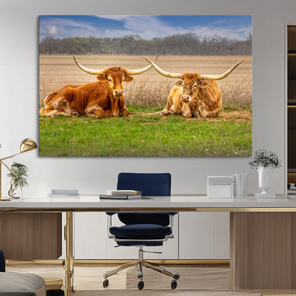 Two longhorn cows lying on green grass in front of a golden field and trees under a blue sky, perfect for rustic country wall decor.