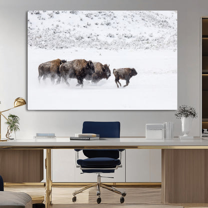 Bison herd running through a snowy open field with mountain backdrop, perfect for rustic or western-themed wall decoration.