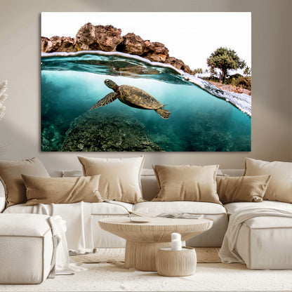 Dynamic split-view photo of a sea turtle swimming near rocky shores, perfect for vibrant coastal or tropical beach home decor.