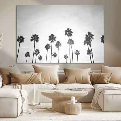 A black and white minimalist scene featuring tall palm trees silhouetted against a bright sky, creating a dreamy and timeless tropical aesthetic.