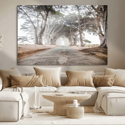 Canvas of a misty tree tunnel with arching cypress trees and an earthy road, ideal for rustic or coastal nature decor.