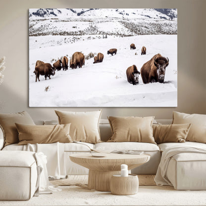 A herd of bison walking through deep snow in a mountain valley, perfect for rustic, cabin or western-themed wall decor.