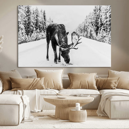 A majestic moose grazing in the snow-covered wilderness, surrounded by snow-covered trees, creating a peaceful winter scene.