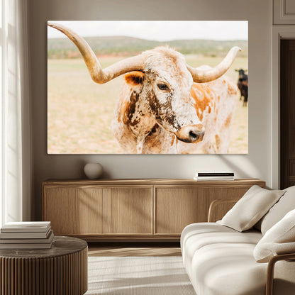 Close-up of a speckled Texas Longhorn in warm prairie tones, perfect for rustic western or countryside-themed room decor.