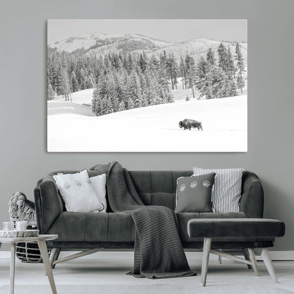 Snowy bison walking through white forest landscape, ideal for monochrome winter or wilderness-style interior wall decoration.