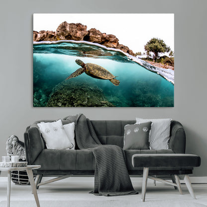 Dynamic split-view photo of a sea turtle swimming near rocky shores, perfect for vibrant coastal or tropical beach home decor.