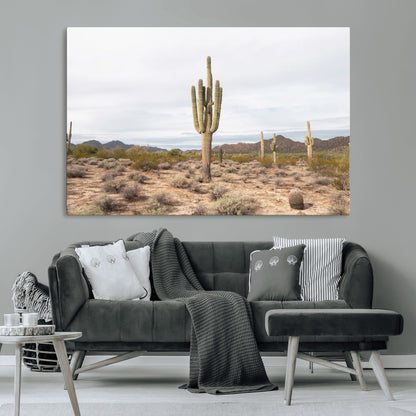 Canvas of a saguaro cactus in an earthy Sonoran desert landscape, ideal for Southwestern Boho or desert minimalism inspired home decor.   2/2