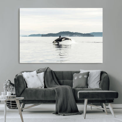 An orca jumping out of calm ocean waters with a misty island in the background, creating a serene and minimalist marine wildlife scene.