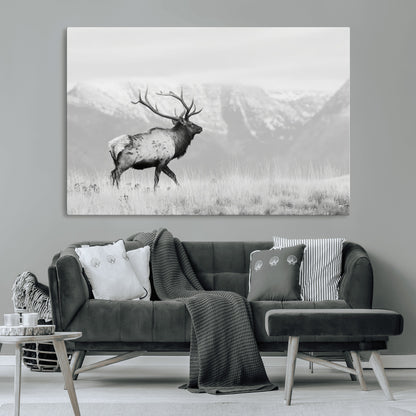 Black and white photograph of a majestic elk standing in a grassy field with snow-capped mountains in the background, creating a bold and rustic wilderness scene.
