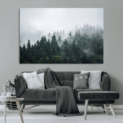A misty evergreen forest shrouded in soft fog, creating a tranquil and moody landscape with lush green trees fading into the distance.