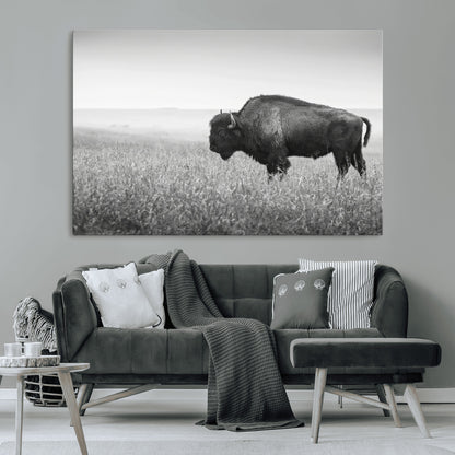 A black and white photograph of a majestic bison standing in a vast grassy prairie, evoking a sense of wilderness and strength.