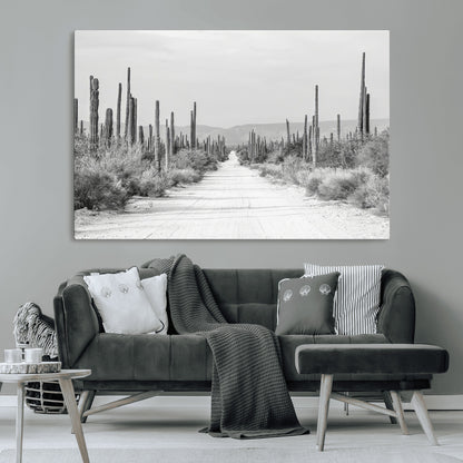 A black and white desert road stretching through a cactus-filled landscape, creating a rugged and timeless southwestern aesthetic with a sense of adventure.