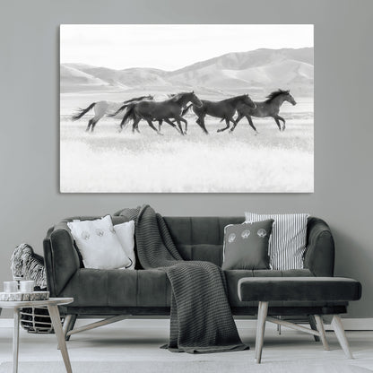 A black and white image of wild horses running freely across an open grassland, capturing the power and beauty of untamed nature in a rustic western setting.