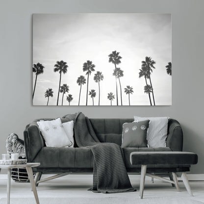A black and white minimalist scene featuring tall palm trees silhouetted against a bright sky, creating a dreamy and timeless tropical aesthetic.