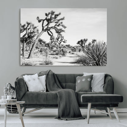 Canvas of a Joshua Tree forest in black and white tones, featuring a desert path and spiky vegetation, ideal for minimalist or rustic decor.