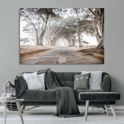 Canvas of a misty tree tunnel with arching cypress trees and an earthy road, ideal for rustic or coastal nature decor.