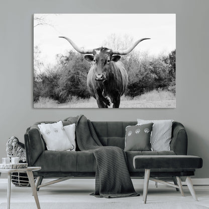 Black and white photo of a longhorn cow in a field, perfect for rustic farmhouse or western-themed interior wall decoration.