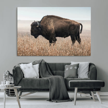 A lone bison stands in a vast prairie under a soft sky, evoking freedom and rustic charm for western or farmhouse inspired interiors.