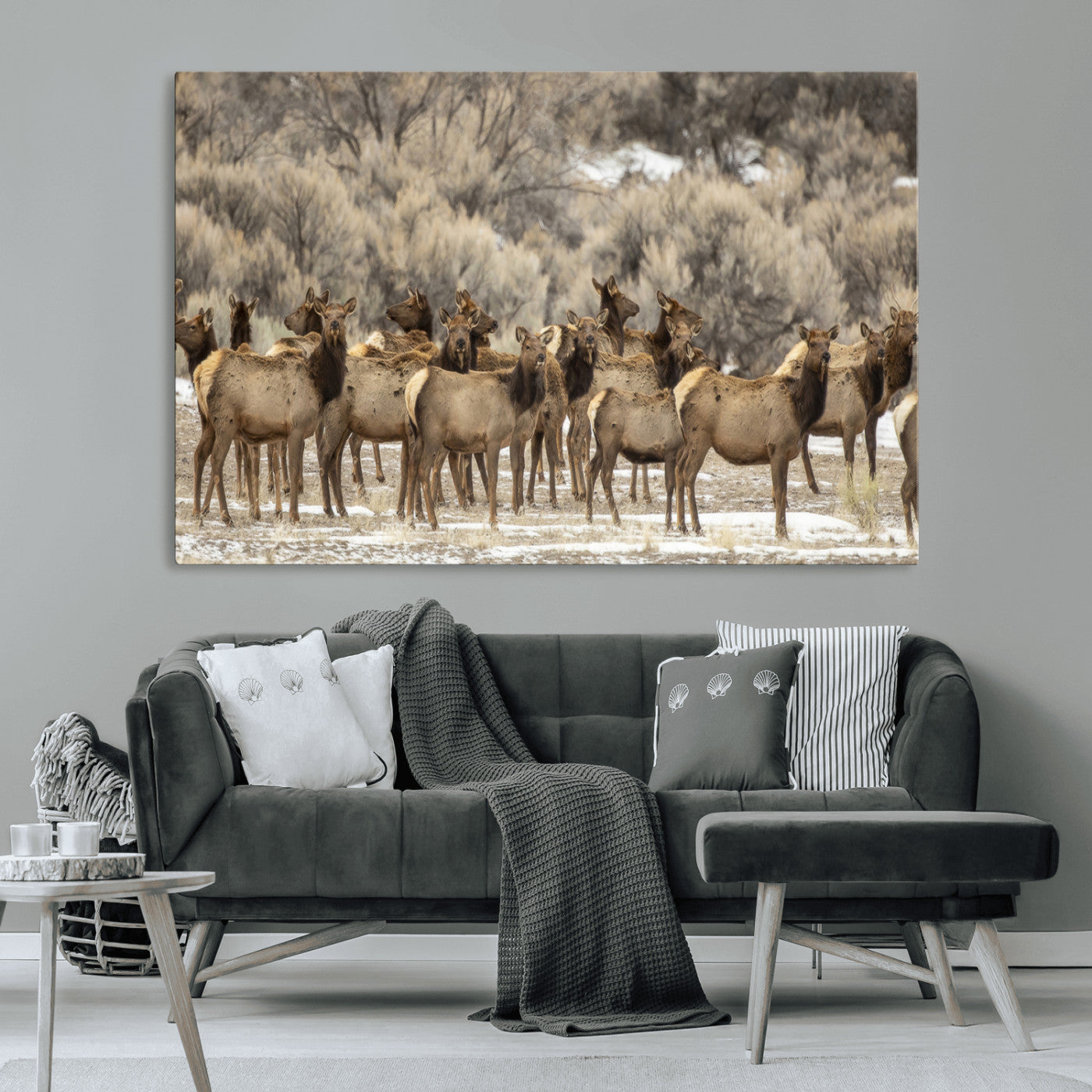A large herd of elk standing in an open field with soft earthy tones, ideal for rustic lodge or western-themed home wall decor.