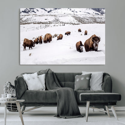 A herd of bison walking through deep snow in a mountain valley, perfect for rustic, cabin or western-themed wall decor.