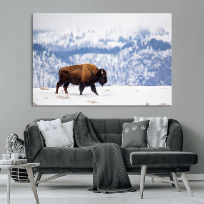 A lone bison walks across snowy ground with blue-toned mountain range behind, ideal for rustic or western farmhouse interiors.