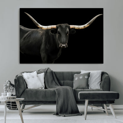 Close-up of a black Texas longhorn with large curved horns on black background, ideal for rustic farmhouse or modern western interiors.