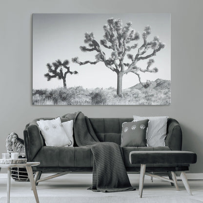 Black and white Joshua tree in a desert landscape with soft light and dry brush, perfect for rustic or minimalist home decor.