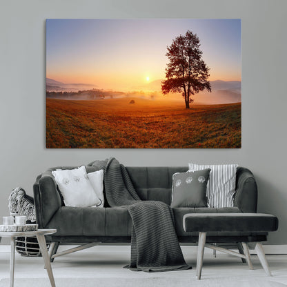 A tranquil landscape at sunrise with a mist-covered field and a lone tree, creating a peaceful and natural atmosphere.