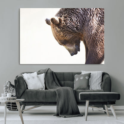 Majestic Bear Portrait - Capture the raw beauty of a bear in a detailed close-up, perfect for your Wall Art Canvas Print collection