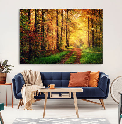 73494-MGV-CV-36X24-Golden Autumn Forest Path Wall Art – Sunlit Woodland Canvas Print, Fall Nature Landscape Home Decor
