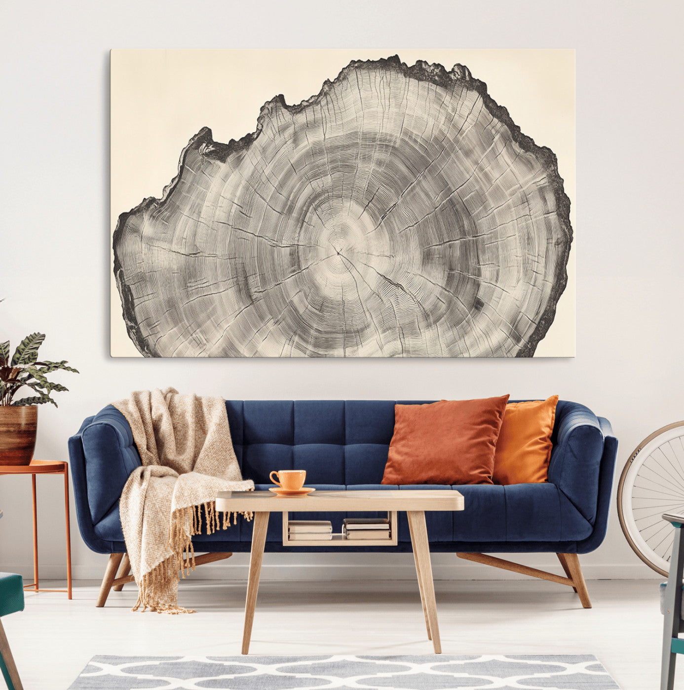 Detailed tree ring drawing in monochrome tones, ideal for rustic or nature-inspired interiors with a minimal decor aesthetic.