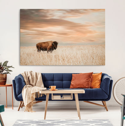 Bison Wall Art Print - Buffalo Canvas Print, featuring a lone bison in a golden prairie under a warm sunset sky, perfect for rustic and farmhouse decor.