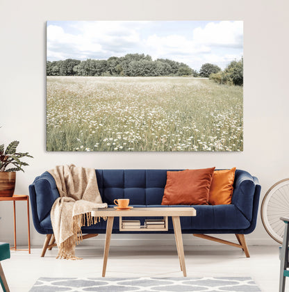 Soft-toned image of a wild daisy field under a cloudy sky, ideal for neutral or Scandinavian-inspired home decor.