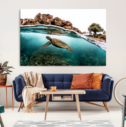 Dynamic split-view photo of a sea turtle swimming near rocky shores, perfect for vibrant coastal or tropical beach home decor.