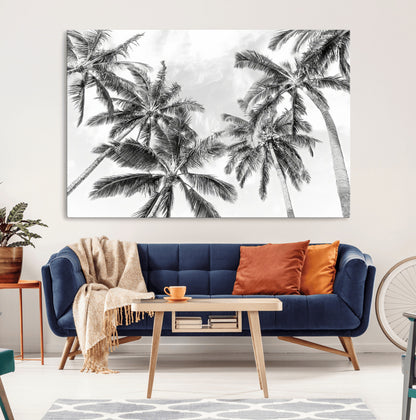Black and white tropical palm trees viewed from below, swaying gently against a bright sky, creating a serene and elegant coastal atmosphere.