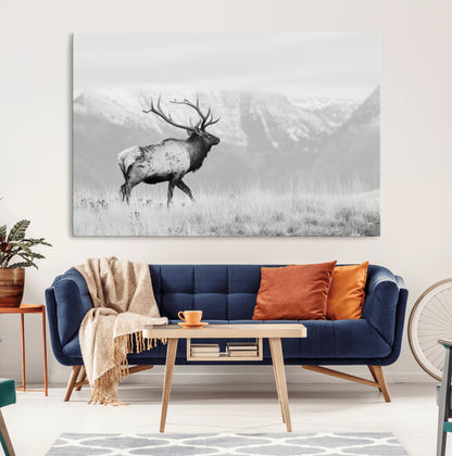 Black and white photograph of a majestic elk standing in a grassy field with snow-capped mountains in the background, creating a bold and rustic wilderness scene.