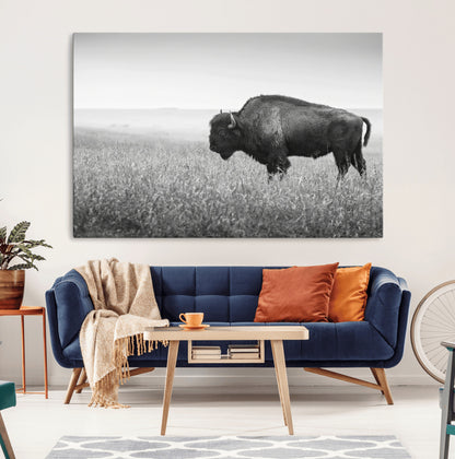 A black and white photograph of a majestic bison standing in a vast grassy prairie, evoking a sense of wilderness and strength.