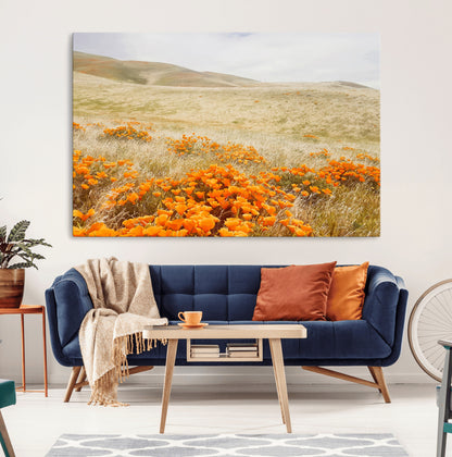 A golden field with vibrant orange poppies blooming across rolling hills under a soft, sunlit sky, creating a warm and rustic landscape.